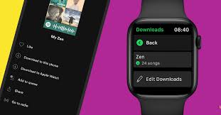 Download mychart and enjoy it on your iphone, ipad, and ipod touch. Spotify Finally Adds Offline Music Downloads On Apple Watch The Verge