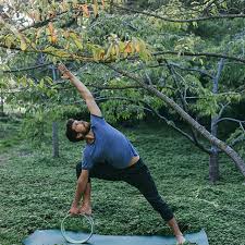 Yoga Wheel Yoga Wheel Pose Plexus Yoga Wheel Dharma Yoga Wheel Wheel Pose Yoga Plexus Products Yoga Wheel Guide