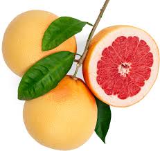 Image result for Grapefruit