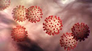هل يمكن القضاء على مرض الملاريا. Ù…Ù„Ø§Ø±ÙŠØ§ Malaria Home Facebook