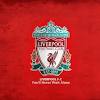 Virgil van dijk kontuzjowany, wypada z gry na kilka. Https Encrypted Tbn0 Gstatic Com Images Q Tbn And9gcshetgh0t2hn4sxgxjklu3xzjhl5gsuziuw4lzy3tjl5sjbkv0a Usqp Cau