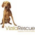 .all adoptions start with completion of an online application at www.ohiopuppyrescue.com. Vizsla Rescue Home