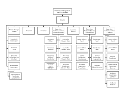 organizational chart undergraduate medical education