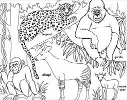Up to 12,854 coloring pages for free. Jungle Animal Colouring Pictures Total Update