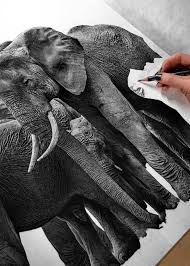 Draw two lines overlapping the outline with a snout at the tip. Realistic Elephant Drawing Pics
