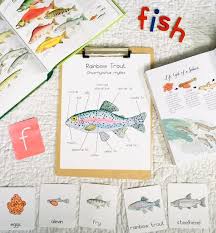 Fish Life Cycle Activity Bundle Etsy In 2020 Fish Life Cycle Life Cycles Activities Life Cycles