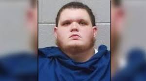 Officers trying to help woman threatened by her son