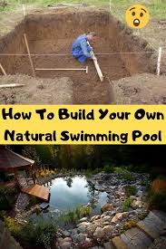 How To Build Your Own Natural Swimming Pool In Your Backyard In Just 7 Steps In 2020 Natural Swimming Pool Swimming Pools Natural Swimming Pools