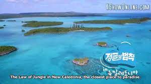 White & black, jungle time, good will, asian shows subbing squad, toriji, j&j и другие. Law Of The Jungle Kshowonline