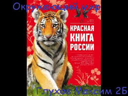 проект красная книга 2 класс окружающий мир скачать бесплатно Krasnaya Kniga Okruzhayushij Mir 2 Klass Youtube