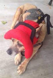 Pin On Mission Pawsable K 9 Apparel By Lena