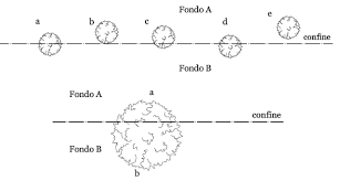 Scegli fonte codice della strada codice civile codice penale codice proc. Le Distanze Di Alberi Dai Confini Di Fondi Diversi Studio Geometra Mancuso