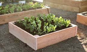 On the opposite end of the spectrum are vegetables such as asparagus, which can tolerate an extremely alkaline soil ph of up to 8.0, almost unheard of among vegetables. Acid Or Alkaline Soil Modifying Ph Sunset Magazine