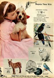Mail Order Pets From A 1955 Spiegel Catalog Buy Dogs Parrots Persian Cats And Even A Mexica Christmas Catalogs Christmas Advertising Christmas Toy Catalogue