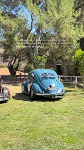 Image result for Atlantic Blue 1951 Beetle