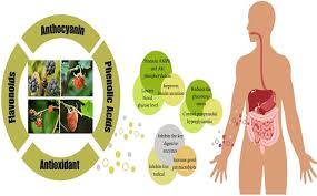 Image result for Rubus adolfi-friederici