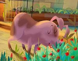 There's more to camels than surviving in the desert. John Joven The Camel And The Pig