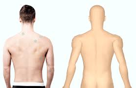 The body mass index (bmi) calculator can be used to calculate bmi value and corresponding weight status while taking age into consideration. Top 5 Total Body Photography Breakthroughs Of 2019