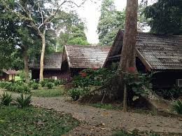 Welcome to discover 130 million years tropical rainforest, the oldest in the world! Chalet Im Mutiara Taman Negara Picture Of Mutiara Taman Negara Kuala Tahan Tripadvisor