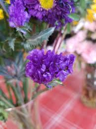 Maybe you would like to learn more about one of these? What Flower Is This It S Common In Precut Bouquets Small Bunch Purple Flowers Whatplantisthis