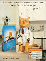 9 Lives Cat Food Magazine Advertisement 2009 Strong Muscles Food Animals Cats