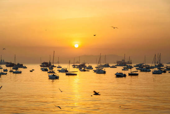 150+ Fishing Harbour In Mumbai Stock Photos, Pictures & Royalty-Free Images - iStock