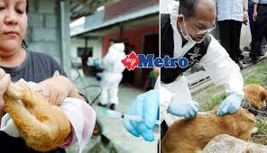 Perkhidmatan veterinar di negeri kedah bermula semasa kedah masih lagi berada dibawah naungan negeri siam. Rabbies 19 Kes Gigitan Dilapor Hari Ini