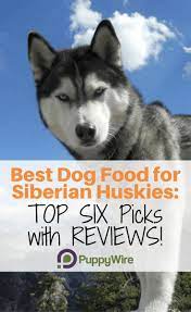 Commercial dog foods contain grains a siberian husky puppy should be given food three times daily. Best Dog Food For Huskies Top 6 Picks In 2020 With Reviews Best Dog Food Dog Food Recipes Husky