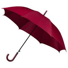 Falconetti Ladies Automatic Walking Umbrella Maroon Umbrella Ladies Umbrella Fancy Umbrella