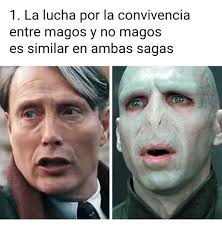 La increíble conexion entre la saga de Harry Potter y la de Animales  Fantásticos 🎬❤️💯