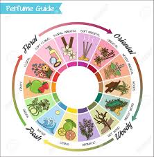 Aromatic Guide Wheel For Perfume Scent And Aroma Infographic