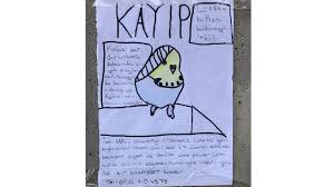Kayip Muhabbet Kusu Kent Havasi