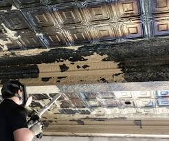 Glue up foam ceiling tile in plain white (21.6 sq. Historical Restoration And Paint Removal From 100 Year Old Metal Ceiling Tiles Asm Environmental