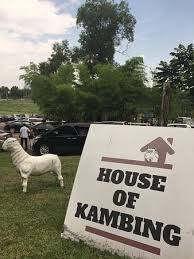 Find any address on the map of serdang or calculate your itinerary to and from serdang, find all the tourist attractions and michelin guide restaurants in serdang. Located At Maeps Serdang Tasty Nasi Kukus Kambing Bakar Rm 10 Per Plate Nice Environment Sur Photo De House Of Kambing Sri Kembangan Tripadvisor