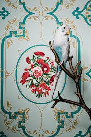 Series Birds Of A Feather 2012 Locality Burlington Nj Photography By Claire Rosen Bird Portrait Oiseaux Tropicaux Les Arts Jolis Oiseaux