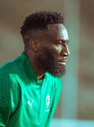 Gabon d'abord 🇬🇦🇬🇦 Panthère un jour,...