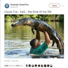 14 Clean And Funny Animal Memes Funny Pictures Funny Animal Memes Animal Memes