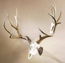 Hooker | dream interpretation for hooker: Pin On Expert Tips