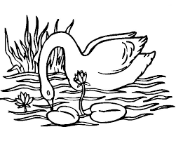 Swan Coloring Pages Best Coloring Pages For Kids Bird Coloring Pages Coloring Pages Love Coloring Pages