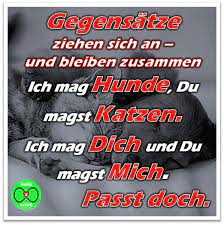 Spruch Gegensatze Ziehen Sich An Und Bleiben Zusammen Ich Mag Hunde Du Magst Katzen Ich Mag Dich Du Magst M Liebe Spruch Spruche Gegensatze Ziehen Sich An
