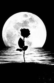 Pin By Gilson Costa Brito On Lua Watercolor Moon Animal Art Moon Silhouette