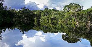 Dacă te opreşti un singur minut în faţa fiecărui exponat din muzeu ai nevoie de trei săptămâni ca să parcurgi toate încăperile. Cele Mai Mari Rauri Din Brazilia 2021