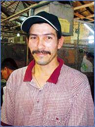 Se cosecha entre 90 a 100 días * Esteban Ríos