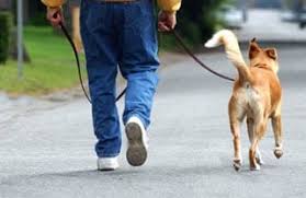 Erica terpstra in 2008 'toen ik stopte met zwemmen, hadden we nog nooit gehoord van aftrainen. Admin Hulp Bij Afvallen Page 32 Of 47