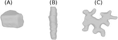 Maybe you would like to learn more about one of these? Plant Cells With Variety Of Shapes A Arabidopsis Root Epidermal Download Scientific Diagram