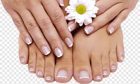 Nail art inspiration is all around you! Manicure And Pedicure With French Tip And White Gerbera Flower Foot Pedicure Manicure Gel Nails Pedicure Hand Gel Png Pngegg