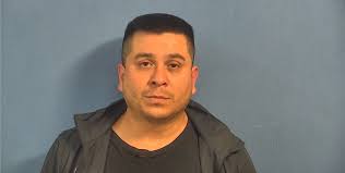 Naperville man receives sentence for killing family dog, threatening  children: prosecutors