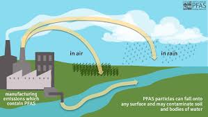 As they were sailing towards roanoke island, they became embayed there. Nc Dph Occupational And Environmental Epidemiology Genx And Other Pfas In The Cape Fear River Basin
