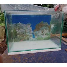 Ketebalan kaca 5 mm, ukuran dalam cm (centimeter) : Aquarium 40cm X20cm X25cm Lengkap Dengan Background Sterofoam Shopee Indonesia