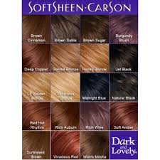Dark And Lovely In 2019 Hair Dye Color Chart Hair Dye